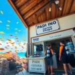 PADI Certified dive shops in Belize offer vibrant underwater experiences with professional instructors.