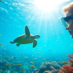 Experience snorkeling in Puerto Rico with vibrant coral reefs and playful sea turtles.