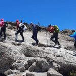 Kilimanjaro Trekking Stories from Experienced Climbers